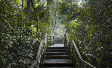 dairy-farm-walk-condo-near-bukit-timah-nature-reserve-singapore