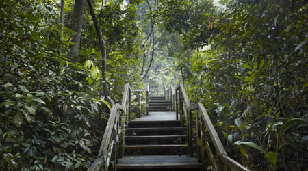 dairy-farm-walk-condo-near-bukit-timah-nature-reserve-singapore